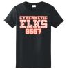Women's Ultra Cotton ® 100% Cotton T Shirt Thumbnail